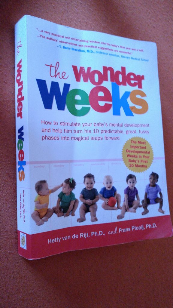 The Wonder Weeks Ebook Pdf Downloads